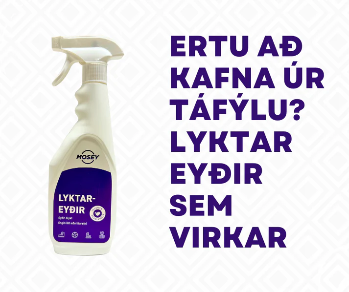 Lyktareyðir 500ml með úða